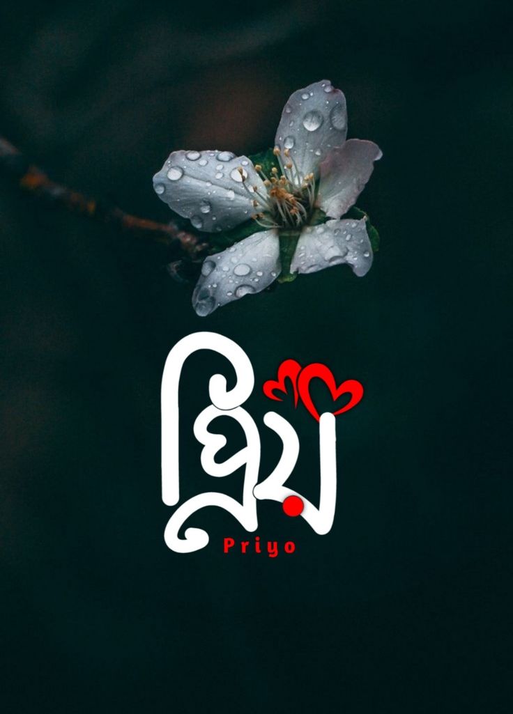 মনের যত্ন রাখুন । 